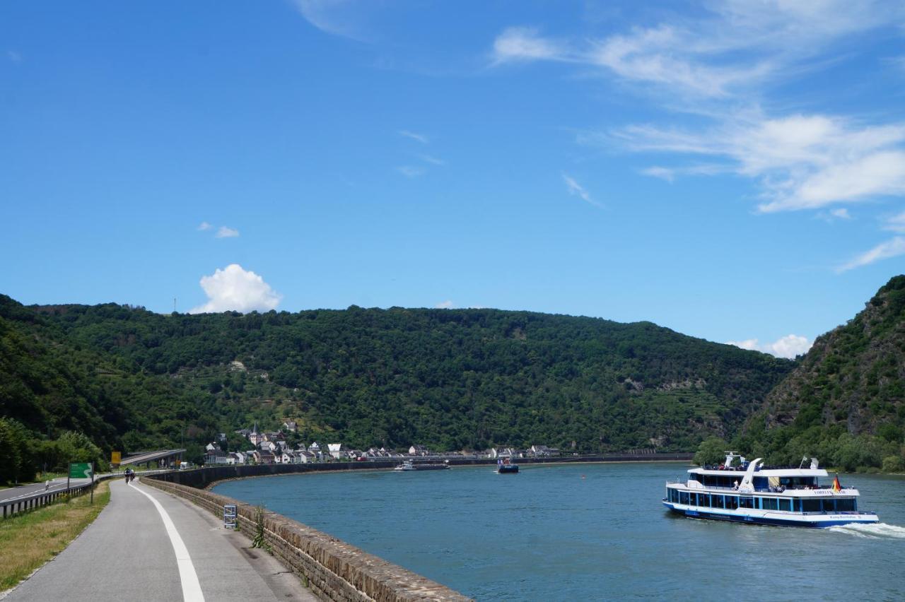4-Sterne Ferienwohnung Carbach -Perfekt Fuer Radfahrer- Boppard Dış mekan fotoğraf