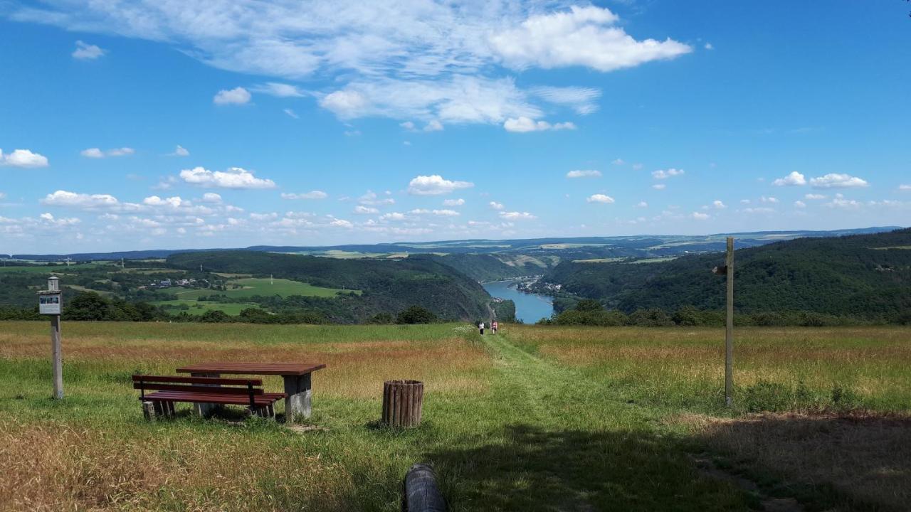 4-Sterne Ferienwohnung Carbach -Perfekt Fuer Radfahrer- Boppard Dış mekan fotoğraf